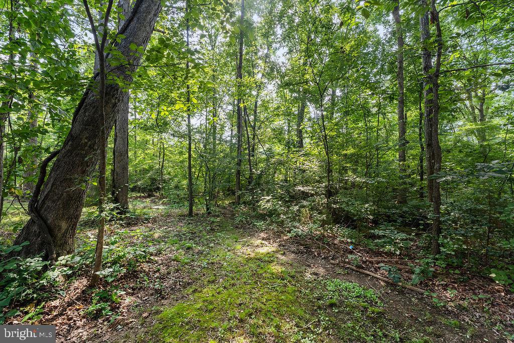 127 SAYLERS CREEK RD, LOCUST GROVE, Virginia 22508, 4 Bedrooms Bedrooms, ,2 BathroomsBathrooms,Residential,For sale,127 SAYLERS CREEK RD,VAOR2010314 MLS # VAOR2010314