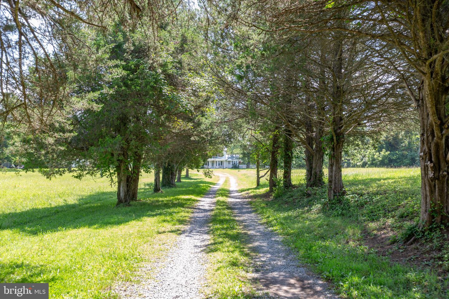 349 GREENBANK RD, FREDERICKSBURG, Virginia 22406, 4 Bedrooms Bedrooms, ,1 BathroomBathrooms,Residential,For sale,349 GREENBANK RD,VAST2038624 MLS # VAST2038624