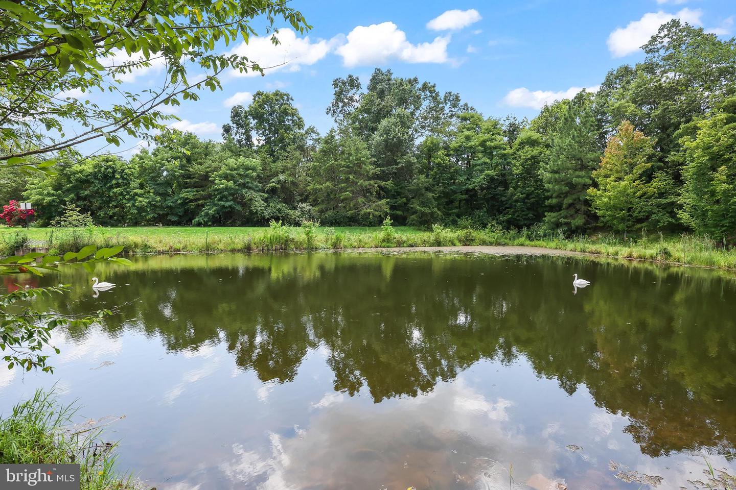 7119 LITTLE THAMES DR, GAINESVILLE, Virginia 20155, 3 Bedrooms Bedrooms, ,2 BathroomsBathrooms,Residential,For sale,7119 LITTLE THAMES DR,VAPW2099650 MLS # VAPW2099650