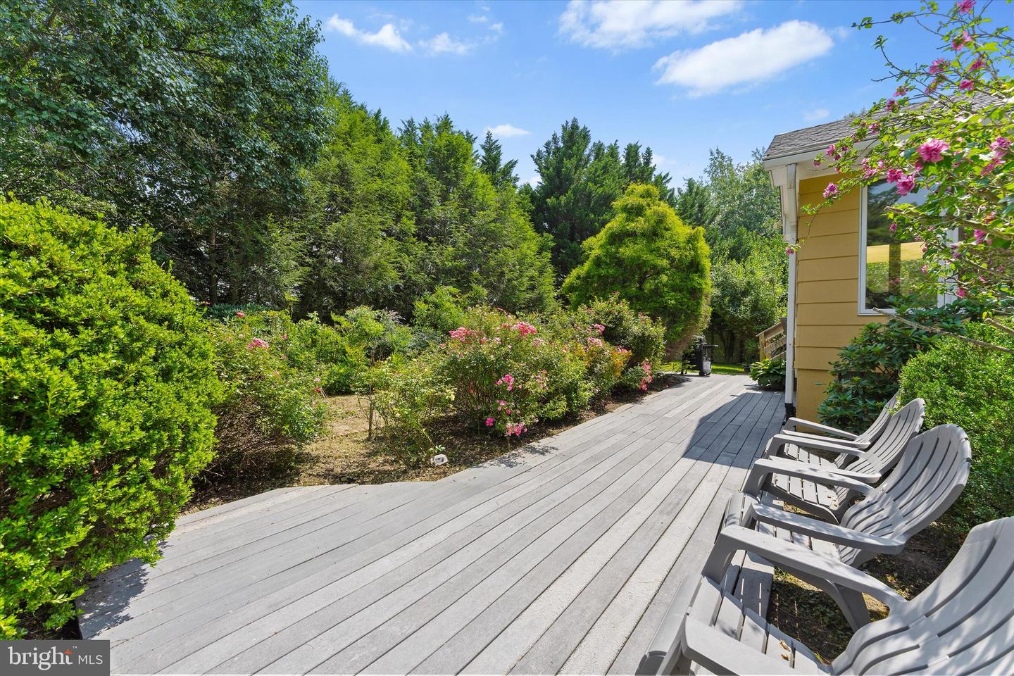 16764 HILLSBORO RD, PURCELLVILLE, Virginia 20132, 12 Bedrooms Bedrooms, ,6 BathroomsBathrooms,Residential,For sale,16764 HILLSBORO RD,VALO2102960 MLS # VALO2102960
