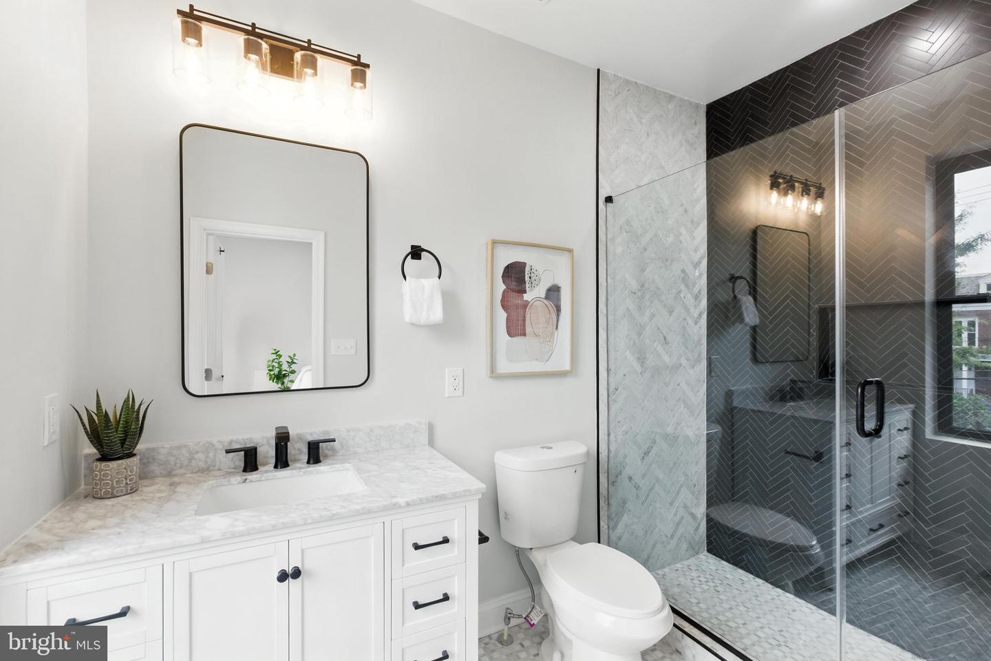 4017 14TH ST NW, WASHINGTON, District Of Columbia 20011, 4 Bedrooms Bedrooms, 8 Rooms Rooms,3 BathroomsBathrooms,Residential,For sale,4017 14TH ST NW,DCDC2211988 MLS # DCDC2211988