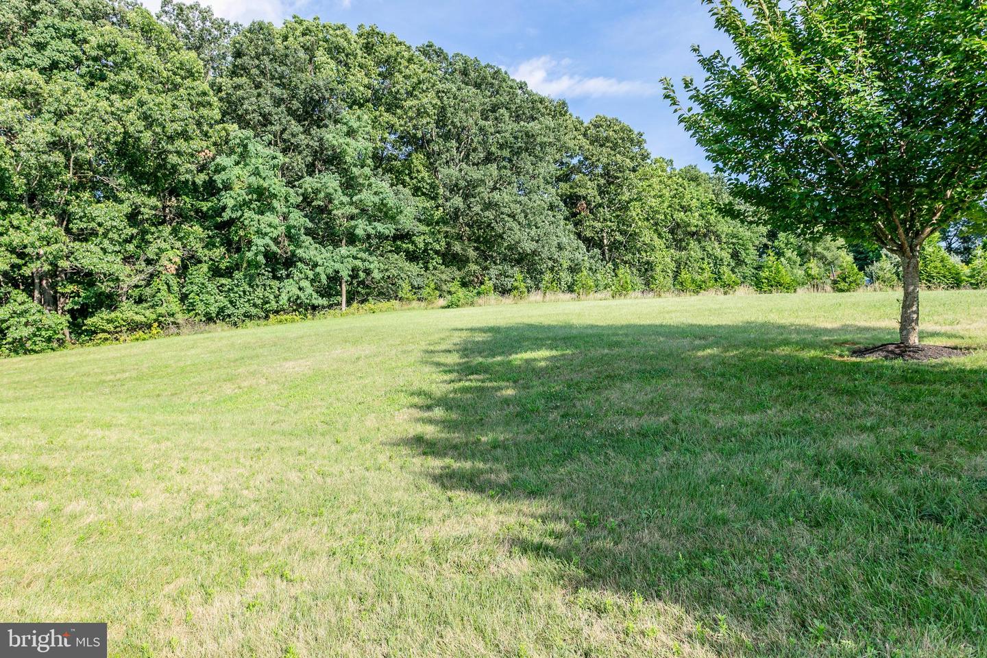 17038 GRINDSTONE CT, LEESBURG, Virginia 20176, 4 Bedrooms Bedrooms, ,3 BathroomsBathrooms,Residential,For sale,17038 GRINDSTONE CT,VALO2103142 MLS # VALO2103142