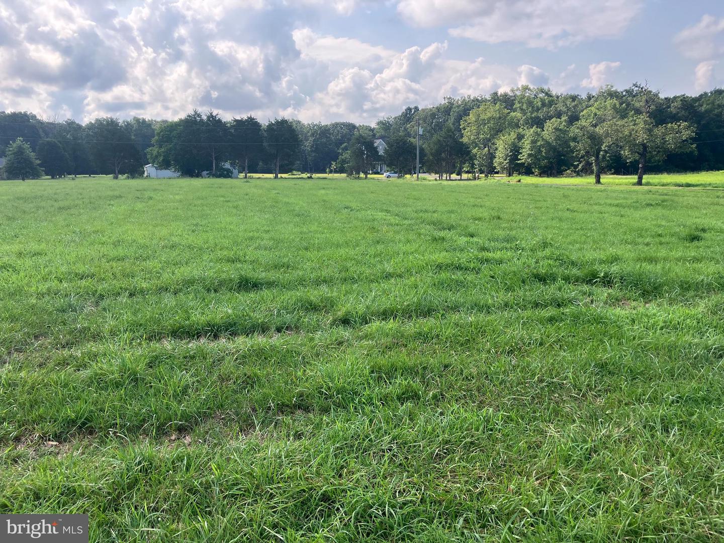 14126 FLEETWOOD DR, NOKESVILLE, Virginia 20181, 3 Bedrooms Bedrooms, ,1 BathroomBathrooms,Residential,For sale,14126 FLEETWOOD DR,VAPW2100026 MLS # VAPW2100026