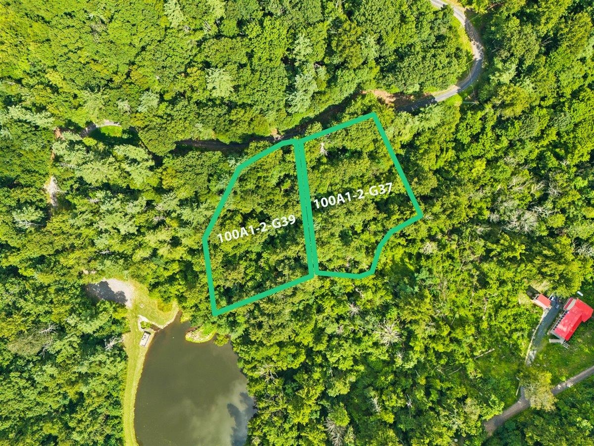 Lots G37 & G3 LAKE RD, STANLEY, Virginia 22851, ,Land,Lots G37 & G3 LAKE RD,667268 MLS # 667268