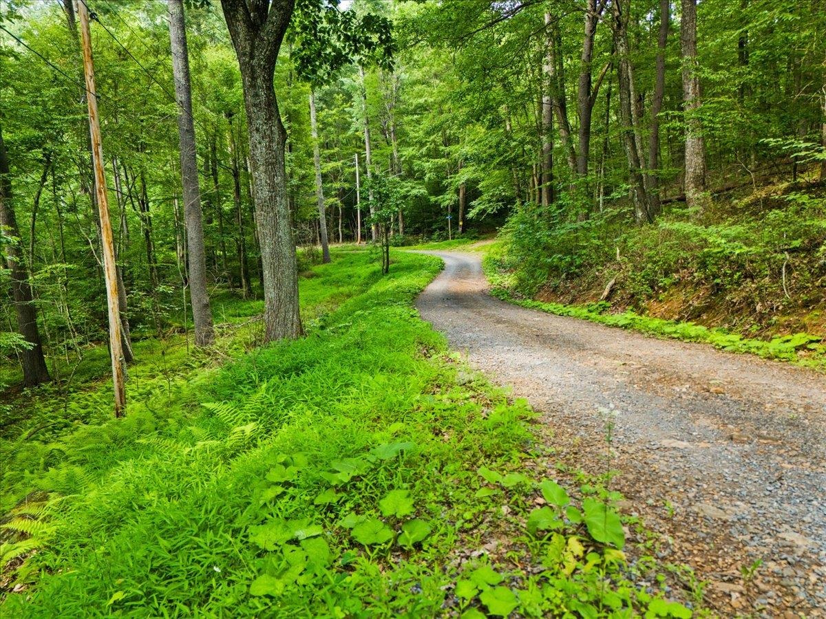 Lots G37 & G3 LAKE RD, STANLEY, Virginia 22851, ,Land,Lots G37 & G3 LAKE RD,667268 MLS # 667268