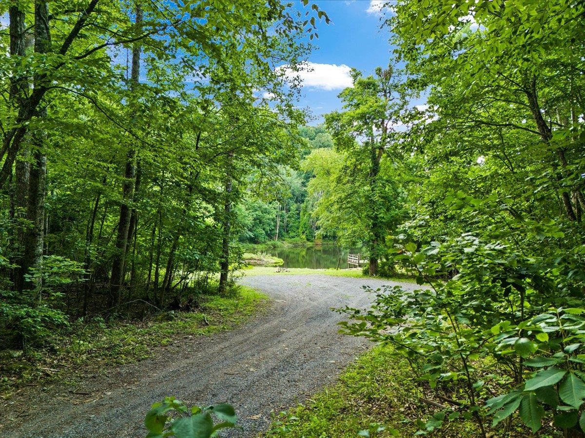 Lots G37 & G3 LAKE RD, STANLEY, Virginia 22851, ,Land,Lots G37 & G3 LAKE RD,667268 MLS # 667268