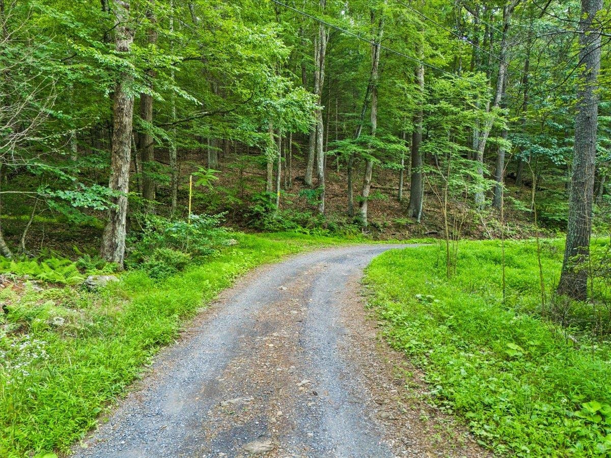 Lots G37 & G3 LAKE RD, STANLEY, Virginia 22851, ,Land,Lots G37 & G3 LAKE RD,667268 MLS # 667268