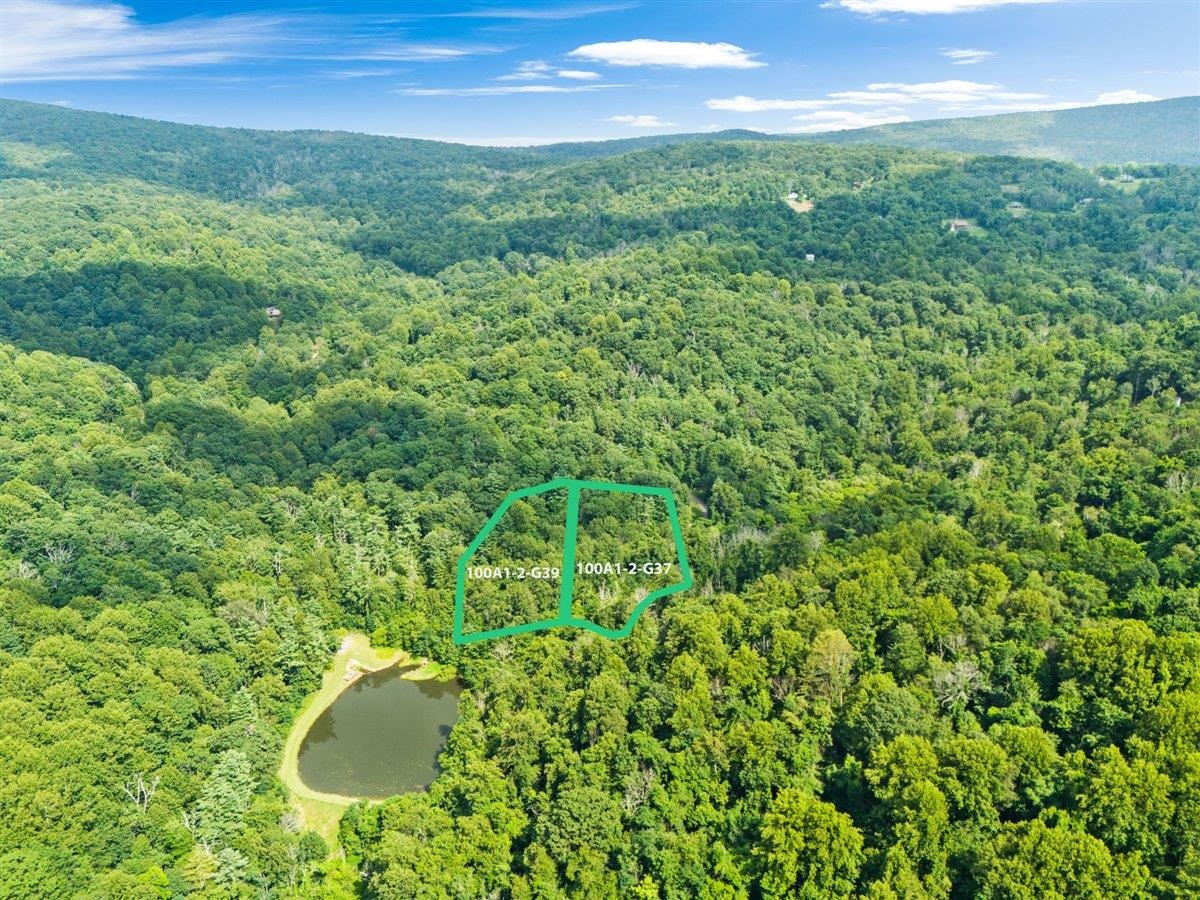 Lots G37 & G3 LAKE RD, STANLEY, Virginia 22851, ,Land,Lots G37 & G3 LAKE RD,667268 MLS # 667268
