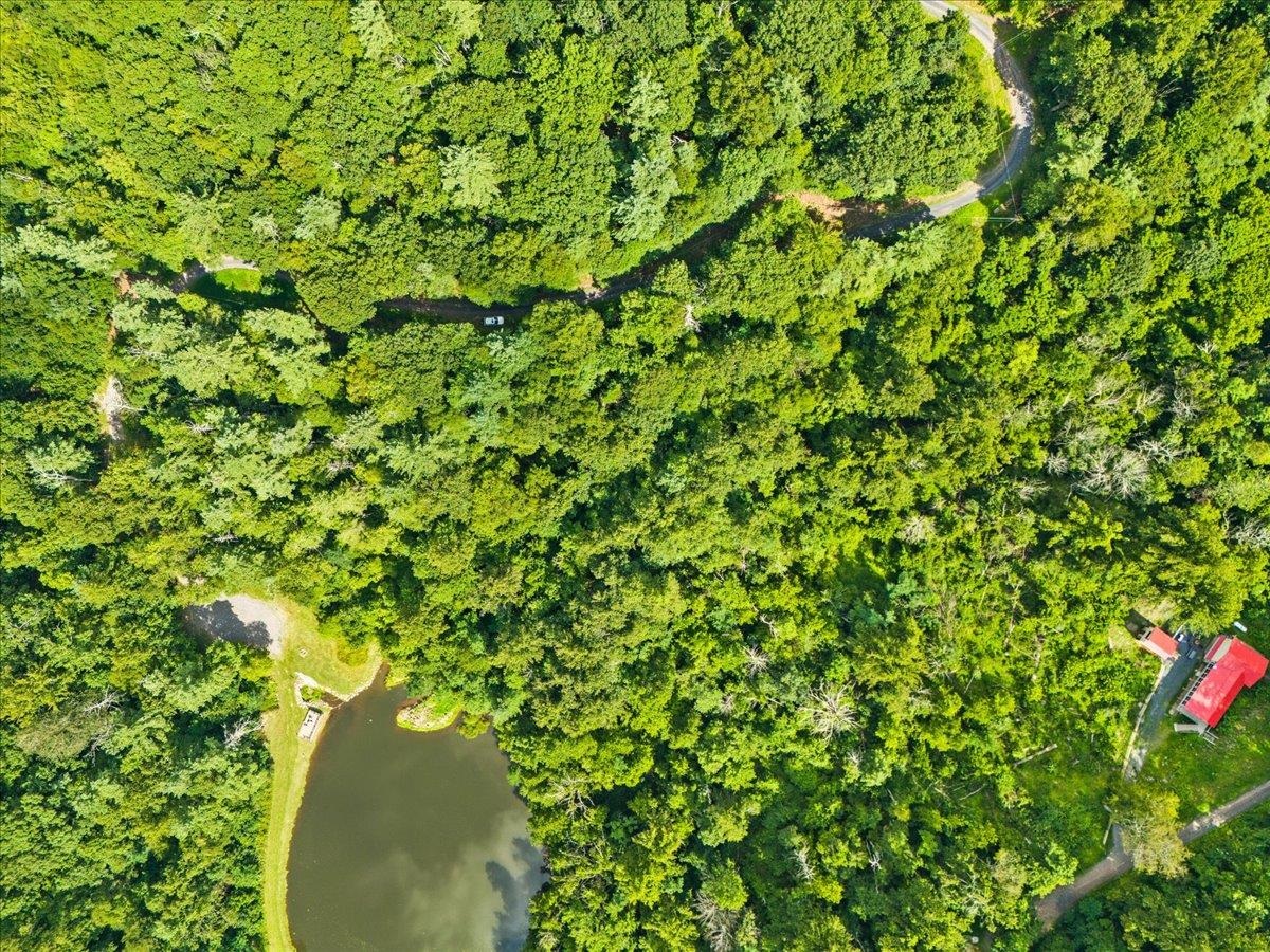Lots G37 & G3 LAKE RD, STANLEY, Virginia 22851, ,Land,Lots G37 & G3 LAKE RD,667268 MLS # 667268