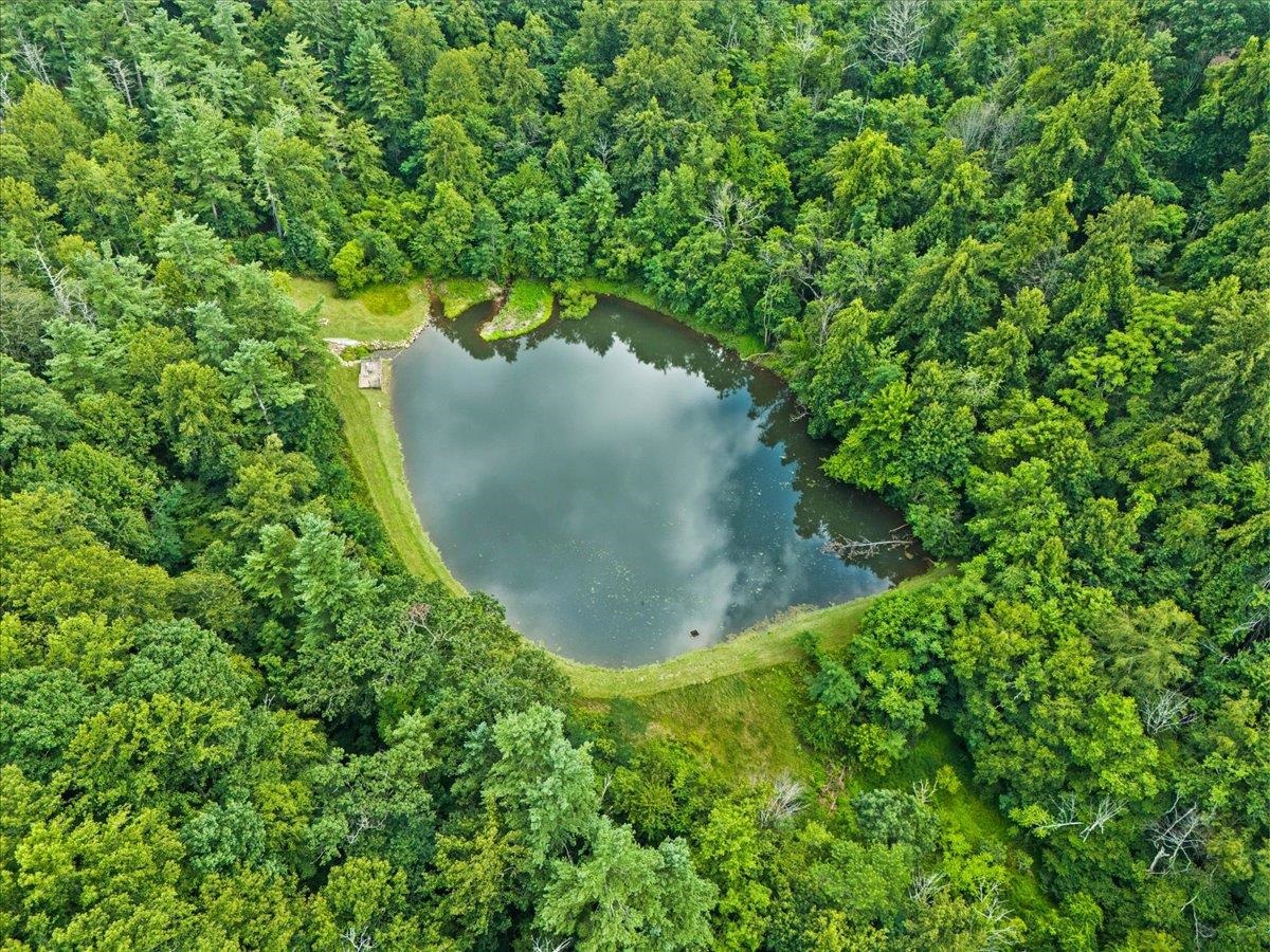 Lots G37 & G3 LAKE RD, STANLEY, Virginia 22851, ,Land,Lots G37 & G3 LAKE RD,667268 MLS # 667268
