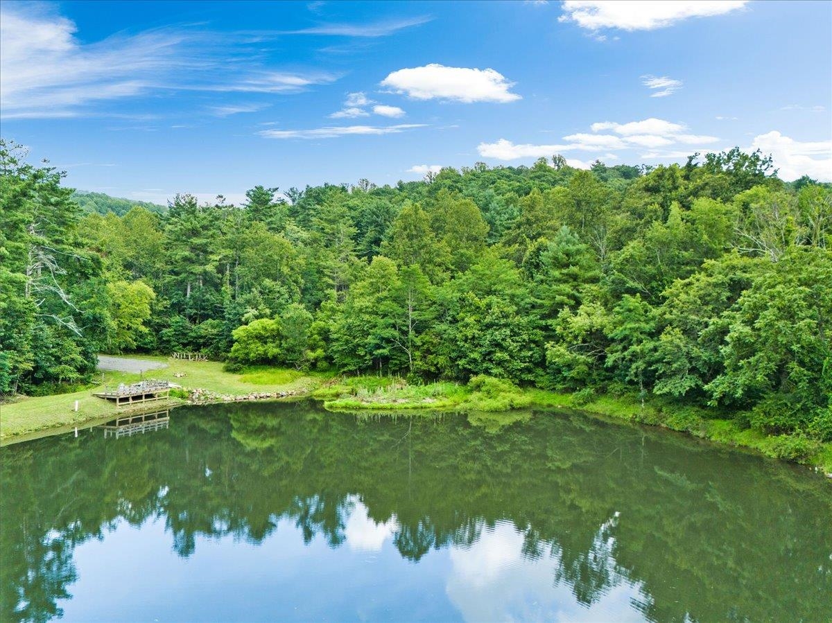 Lots G37 & G3 LAKE RD, STANLEY, Virginia 22851, ,Land,Lots G37 & G3 LAKE RD,667268 MLS # 667268