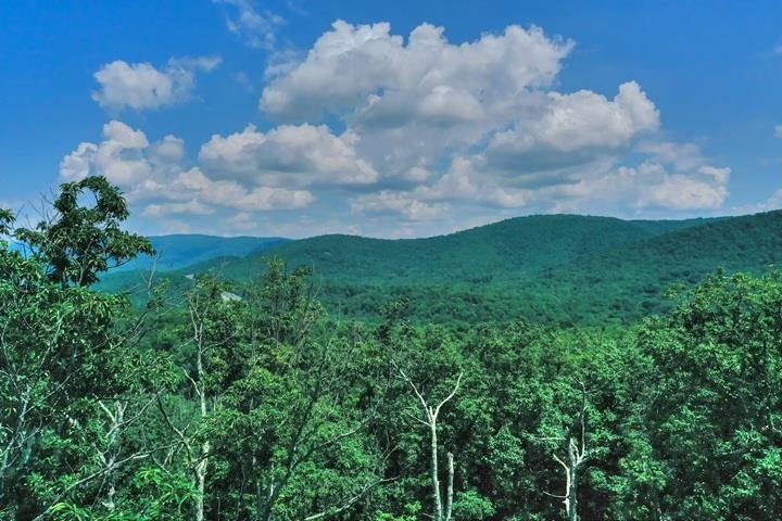TBD LAUREL RIDGE LN, LYNDHURST, Virginia 22952, ,Land,TBD LAUREL RIDGE LN,667269 MLS # 667269