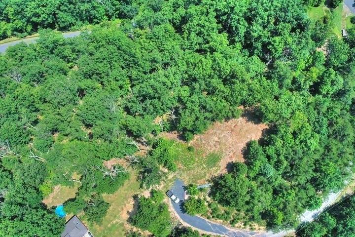 TBD LAUREL RIDGE LN, LYNDHURST, Virginia 22952, ,Land,TBD LAUREL RIDGE LN,667269 MLS # 667269