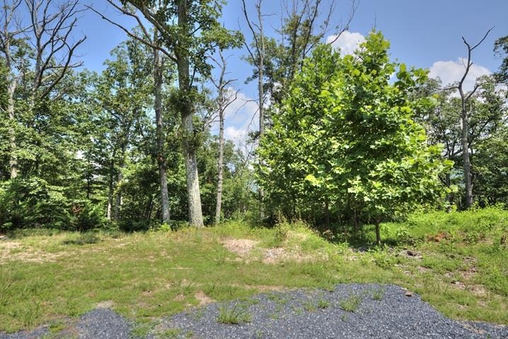 TBD LAUREL RIDGE LN, LYNDHURST, Virginia 22952, ,Land,TBD LAUREL RIDGE LN,667269 MLS # 667269