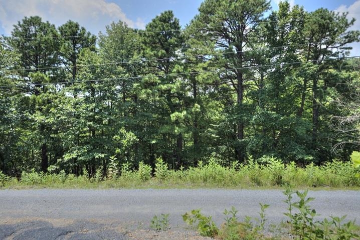 TBD LAUREL RIDGE LN, LYNDHURST, Virginia 22952, ,Land,TBD LAUREL RIDGE LN,667269 MLS # 667269