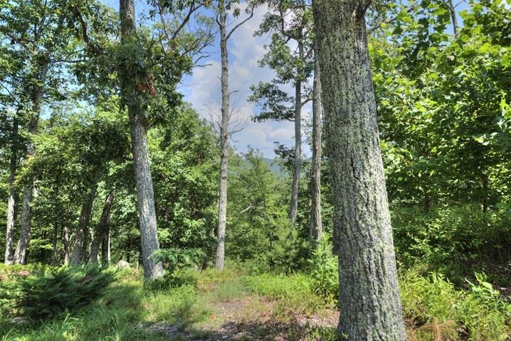 TBD LAUREL RIDGE LN, LYNDHURST, Virginia 22952, ,Land,TBD LAUREL RIDGE LN,667269 MLS # 667269