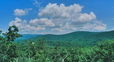 TBD LAUREL RIDGE LN, LYNDHURST, Virginia 22952, ,Land,TBD LAUREL RIDGE LN,667269 MLS # 667269