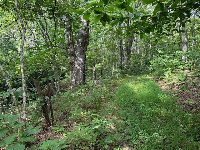 195 NORTHVIEW DR, LEXINGTON, Virginia 24450, ,Farm,195 NORTHVIEW DR,667272 MLS # 667272