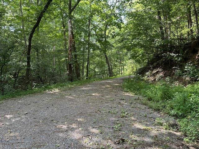 195 NORTHVIEW DR, LEXINGTON, Virginia 24450, ,Farm,195 NORTHVIEW DR,667272 MLS # 667272