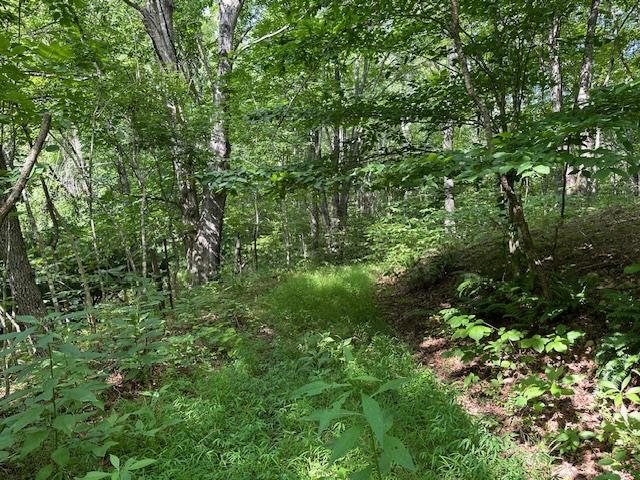 195 NORTHVIEW DR, LEXINGTON, Virginia 24450, ,Farm,195 NORTHVIEW DR,667272 MLS # 667272