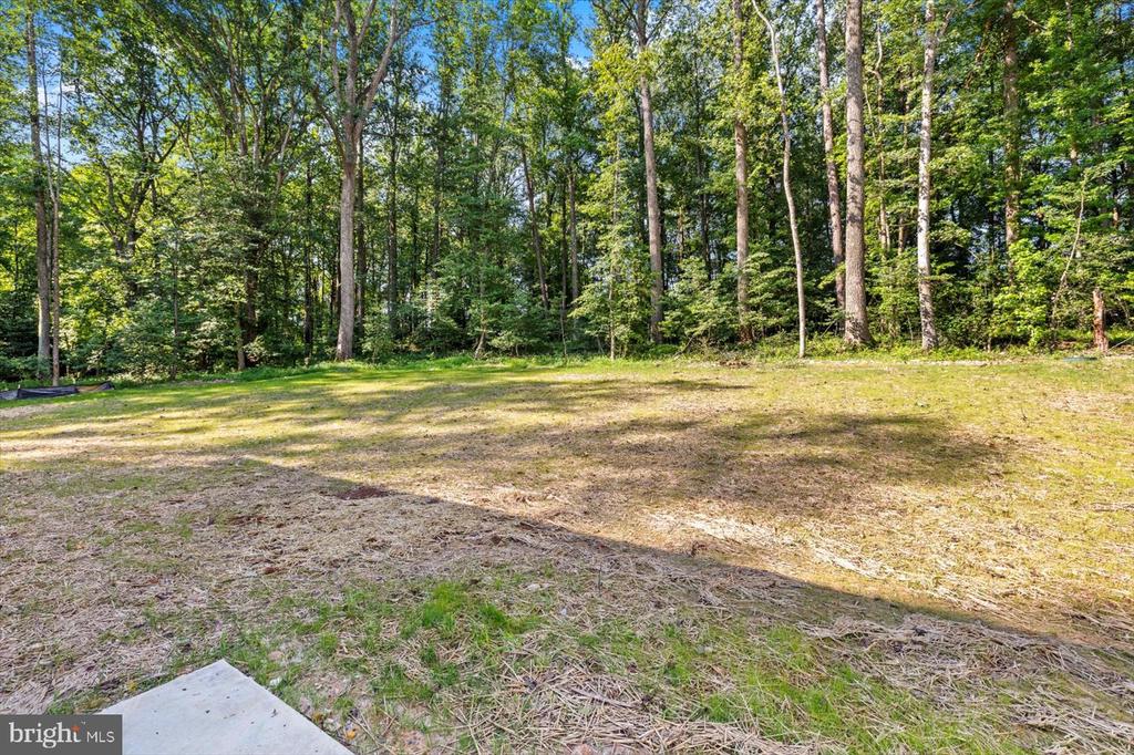12521 WILDERNESS PARK DR, SPOTSYLVANIA, Virginia 22551, 4 Bedrooms Bedrooms, ,2 BathroomsBathrooms,Residential,12521 WILDERNESS PARK DR,VASP2034268 MLS # VASP2034268