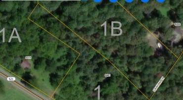 8401 PINE STAKE RD, RHOADESVILLE, Virginia 22542, ,Land,For sale,8401 PINE STAKE RD,VAOR2009084 MLS # VAOR2009084
