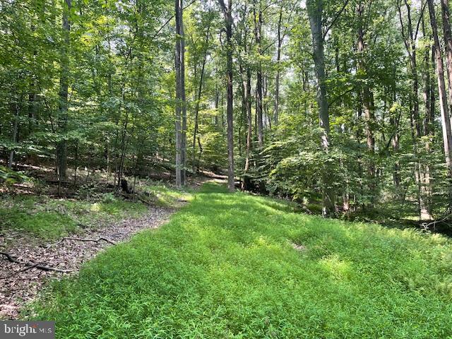 13673 TAYLORSTOWN RD, LEESBURG, Virginia 20176, ,Land,For sale,13673 TAYLORSTOWN RD,VALO2103118 MLS # VALO2103118