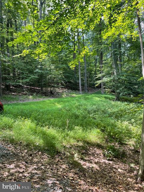 13673 TAYLORSTOWN RD, LEESBURG, Virginia 20176, ,Land,For sale,13673 TAYLORSTOWN RD,VALO2103118 MLS # VALO2103118