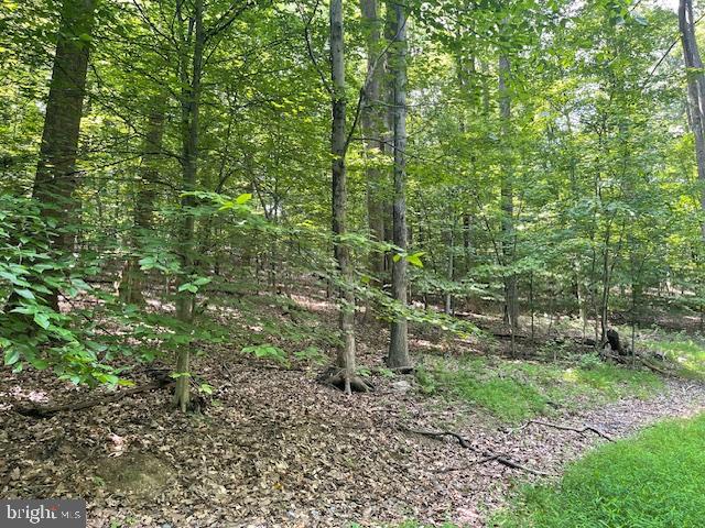 13673 TAYLORSTOWN RD, LEESBURG, Virginia 20176, ,Land,For sale,13673 TAYLORSTOWN RD,VALO2103118 MLS # VALO2103118