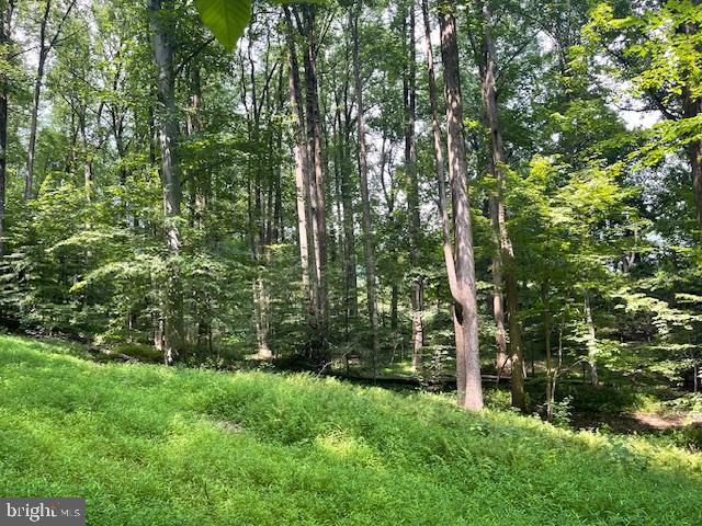13673 TAYLORSTOWN RD, LEESBURG, Virginia 20176, ,Land,For sale,13673 TAYLORSTOWN RD,VALO2103118 MLS # VALO2103118