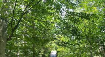 13673 TAYLORSTOWN RD, LEESBURG, Virginia 20176, ,Land,For sale,13673 TAYLORSTOWN RD,VALO2103118 MLS # VALO2103118