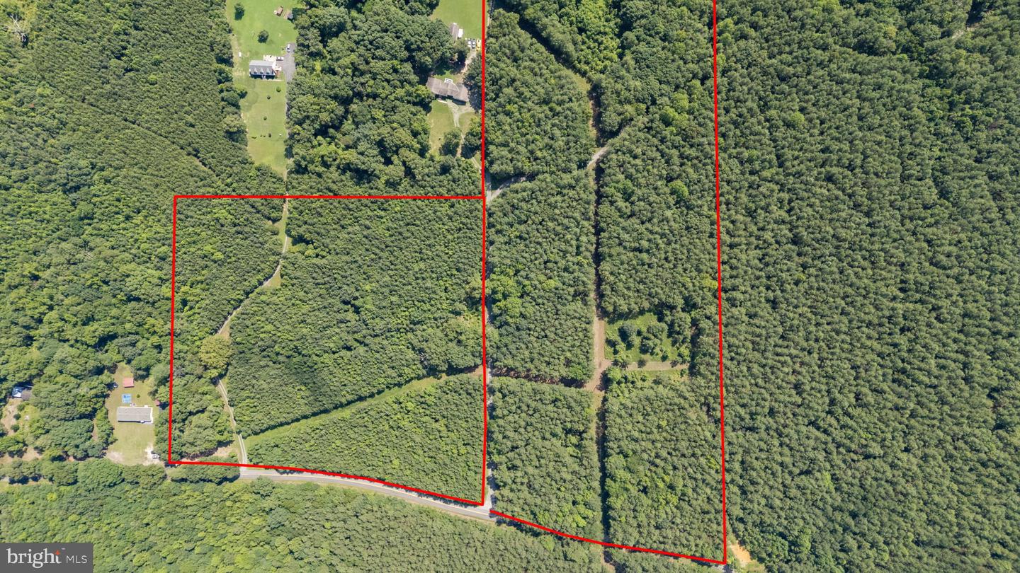 MATTAPONI TRAIL, BOWLING GREEN, Virginia 22427, ,Land,For sale,MATTAPONI TRAIL,VACV2008586 MLS # VACV2008586