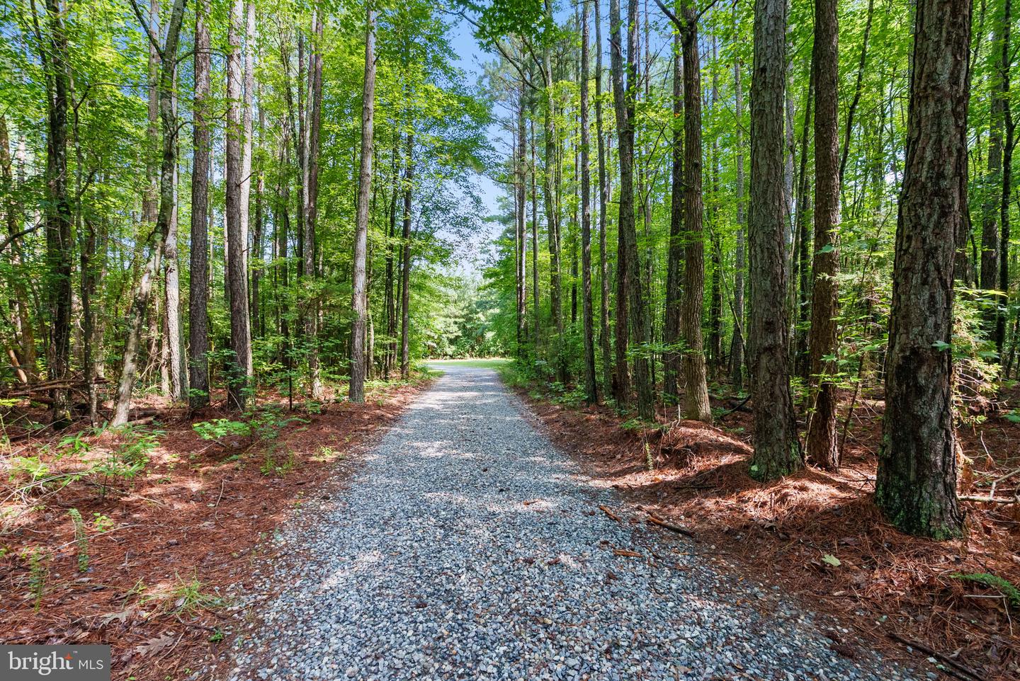 MATTAPONI TRAIL, BOWLING GREEN, Virginia 22427, ,Land,For sale,MATTAPONI TRAIL,VACV2008586 MLS # VACV2008586