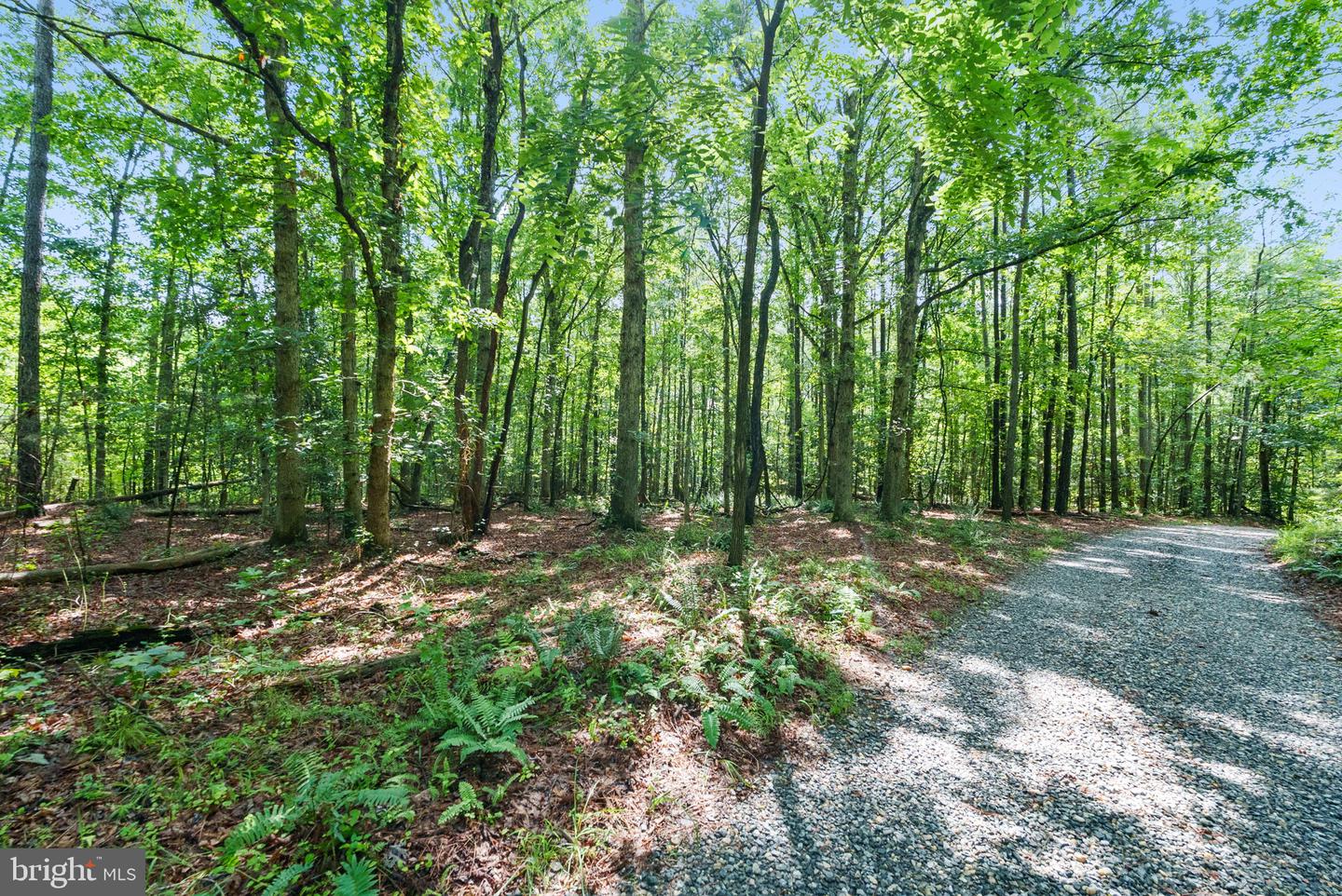 MATTAPONI TRAIL, BOWLING GREEN, Virginia 22427, ,Land,For sale,MATTAPONI TRAIL,VACV2008586 MLS # VACV2008586