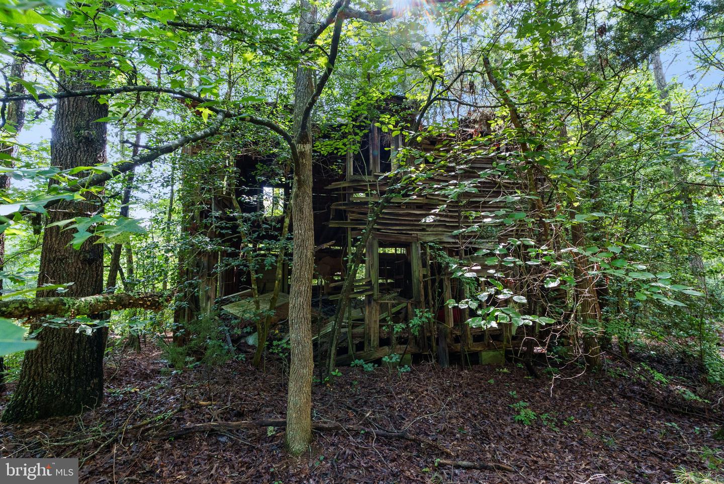 MATTAPONI TRAIL, BOWLING GREEN, Virginia 22427, ,Land,For sale,MATTAPONI TRAIL,VACV2008586 MLS # VACV2008586