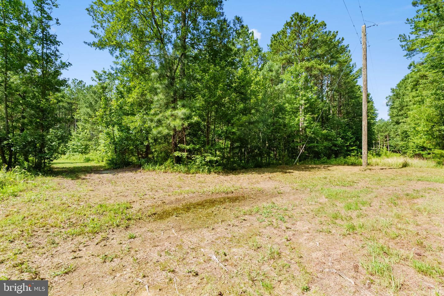 MATTAPONI TRAIL, BOWLING GREEN, Virginia 22427, ,Land,For sale,MATTAPONI TRAIL,VACV2008586 MLS # VACV2008586