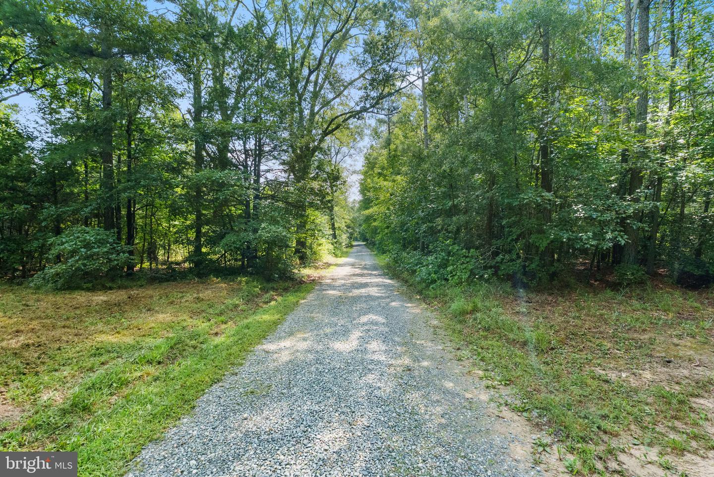 MATTAPONI TRAIL, BOWLING GREEN, Virginia 22427, ,Land,For sale,MATTAPONI TRAIL,VACV2008586 MLS # VACV2008586