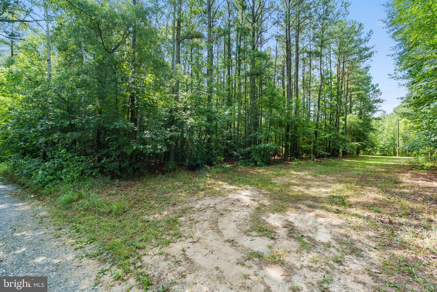 MATTAPONI TRAIL, BOWLING GREEN, Virginia 22427, ,Land,For sale,MATTAPONI TRAIL,VACV2008586 MLS # VACV2008586