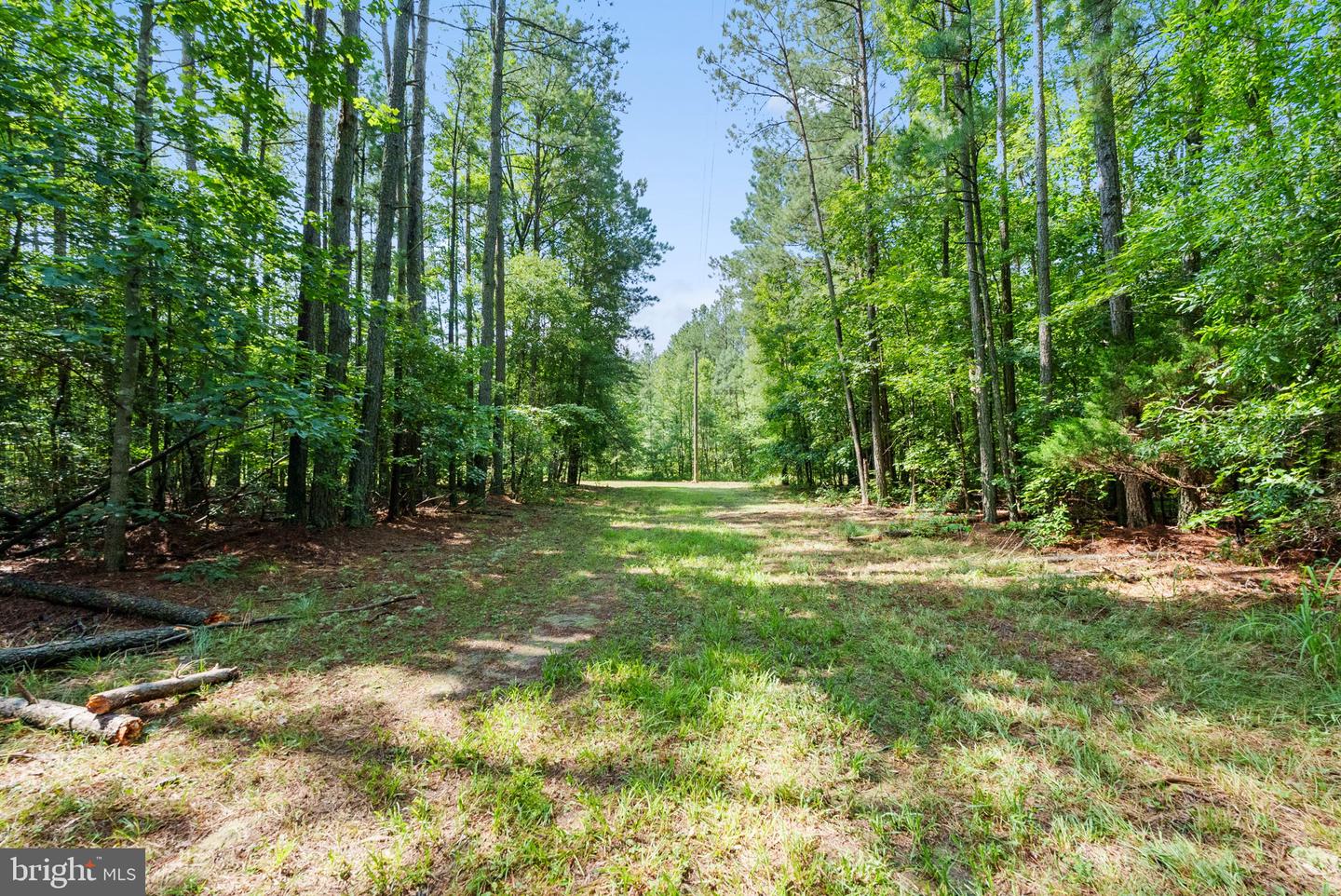MATTAPONI TRAIL, BOWLING GREEN, Virginia 22427, ,Land,For sale,MATTAPONI TRAIL,VACV2008586 MLS # VACV2008586