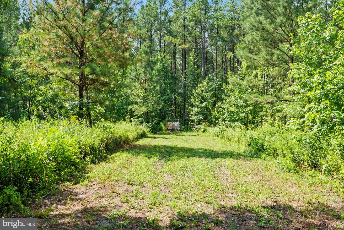 MATTAPONI TRAIL, BOWLING GREEN, Virginia 22427, ,Land,For sale,MATTAPONI TRAIL,VACV2008586 MLS # VACV2008586