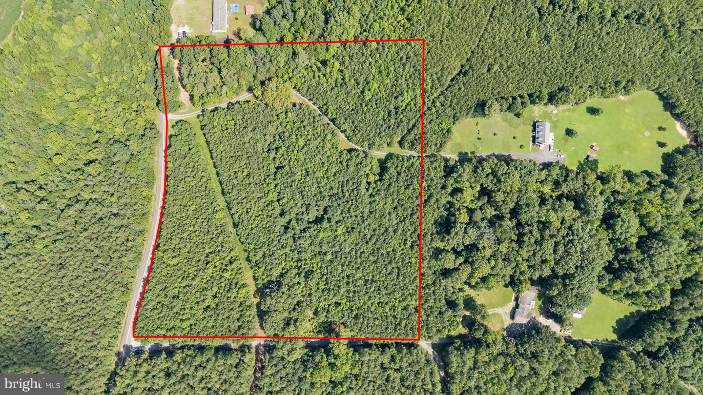 0 MATTAPONI, BOWLING GREEN, Virginia 22427, ,Land,For sale,0 MATTAPONI,VACV2008590 MLS # VACV2008590