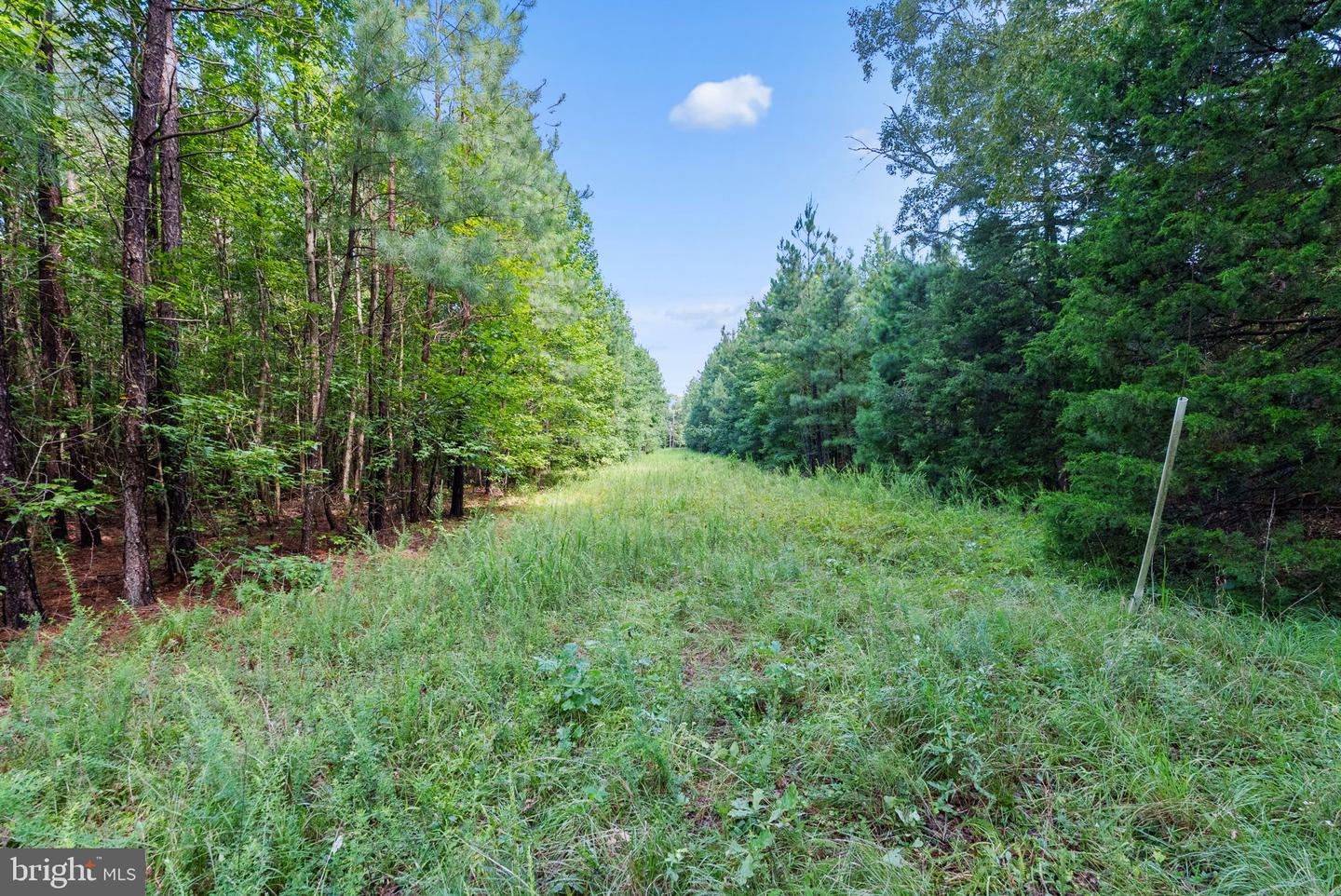 0 MATTAPONI, BOWLING GREEN, Virginia 22427, ,Land,For sale,0 MATTAPONI,VACV2008590 MLS # VACV2008590