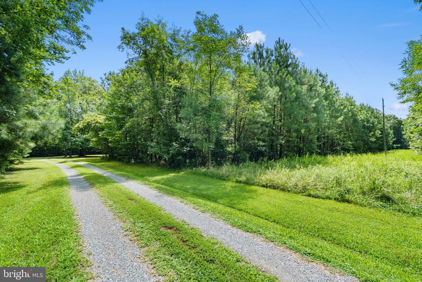 0 MATTAPONI, BOWLING GREEN, Virginia 22427, ,Land,For sale,0 MATTAPONI,VACV2008590 MLS # VACV2008590