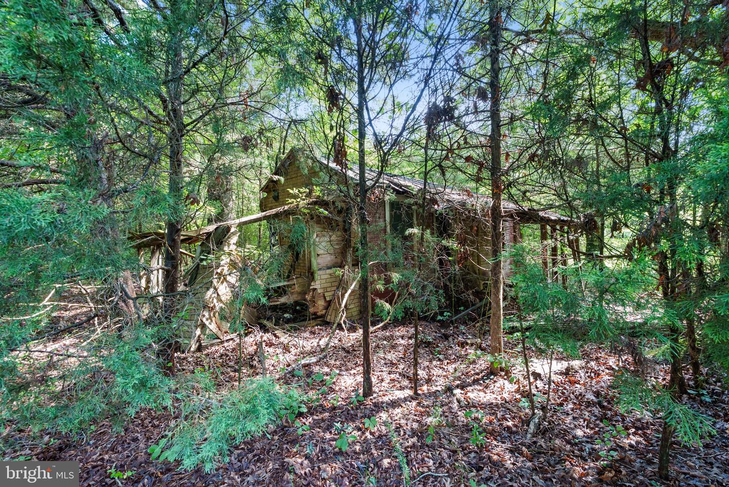 0 MATTAPONI, BOWLING GREEN, Virginia 22427, ,Land,For sale,0 MATTAPONI,VACV2008590 MLS # VACV2008590