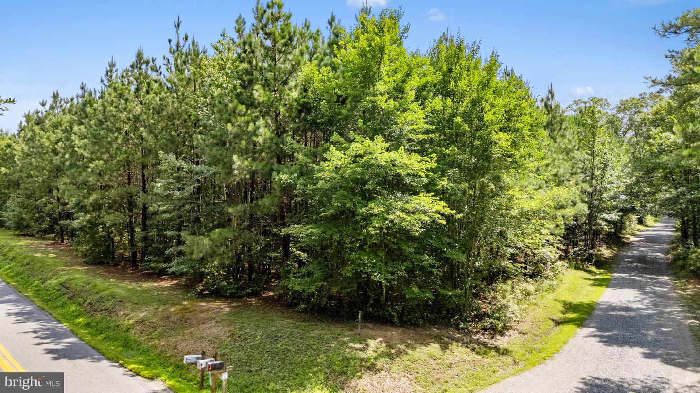 0 MATTAPONI, BOWLING GREEN, Virginia 22427, ,Land,For sale,0 MATTAPONI,VACV2008590 MLS # VACV2008590