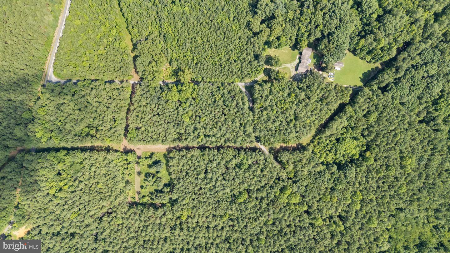 0 MATTAPONI, BOWLING GREEN, Virginia 22427, ,Land,For sale,0 MATTAPONI,VACV2008590 MLS # VACV2008590