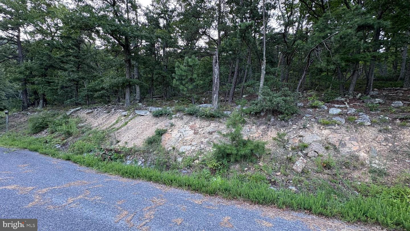 LOT 152 FIRE TOWER TRAIL, WINCHESTER, Virginia 22602, ,Land,For sale,LOT 152 FIRE TOWER TRAIL,VAFV2035766 MLS # VAFV2035766