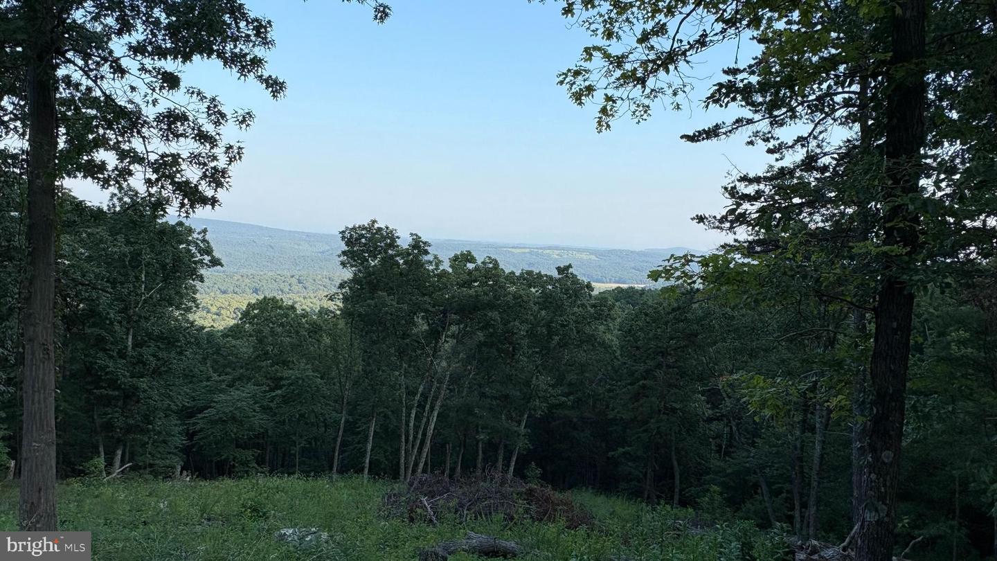 LOT 152 FIRE TOWER TRAIL, WINCHESTER, Virginia 22602, ,Land,For sale,LOT 152 FIRE TOWER TRAIL,VAFV2035766 MLS # VAFV2035766