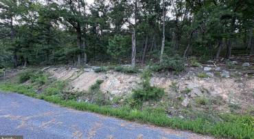 LOT 152 FIRE TOWER TRAIL, WINCHESTER, Virginia 22602, ,Land,For sale,LOT 152 FIRE TOWER TRAIL,VAFV2035766 MLS # VAFV2035766