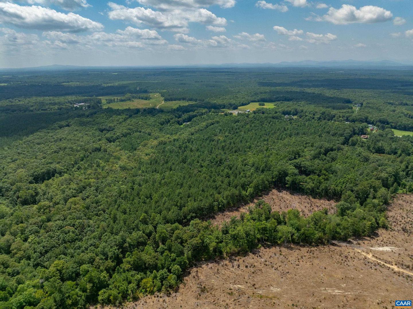 LOTS 1 & 2 S CONSTITUTION RTE, SCOTTSVILLE, Virginia 24590, ,Land,For sale,LOTS 1 & 2 S CONSTITUTION RTE,667263 MLS # 667263